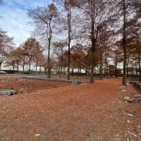 زمین-200متری-پلاک-جنگل-با-سندتکبرگ-قابل-ساخت