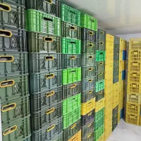 دعوت به همکاری و استخدام و جذب بازاریاب و ویزیتور|استخدام بازاریابی و فروش|نجفآباد, دفاع مقدس|دیوار