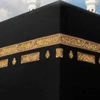فیش جج تمتع