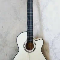 گیتار دیاموند و کیف گیتار