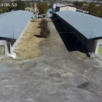 نیروی کار مرغداری تخمگذار ملایر با خانواده