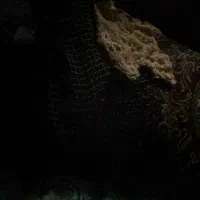 یک عدد پلش ۶۴ گیگ وا یک عدد میمور۴گیگ