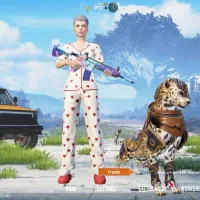 اکانت پابجی فیس سیزن 4