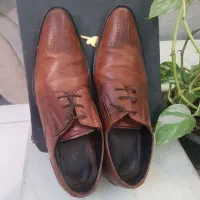 کفش چرم‌ برند