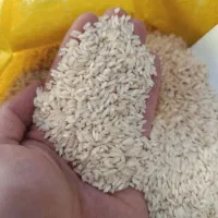 بزنج عنبر اصل/ عمده خرده/ اردبیل