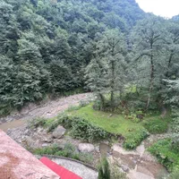 اجاره واحد(وی آی پی) مجموعه پژمان در جنگل های لفور|اجارهٔ کوتاه‌مدت آپارتمان و سوئیت|شیرگاه, |دیوار