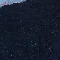 بذر پیاز قرمز