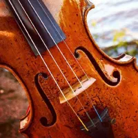 آموزش اصولی و حرفه ای ساز های ویولن و نی
