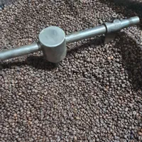 قهوه ویتنام|عمده‌فروشی|لاهیجان, امیرشهید|دیوار