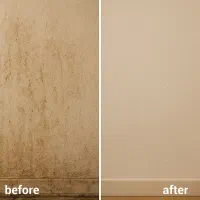 نظافت ساختمان|خدمات نظافت|تهران, جنت‌آباد مرکزی|دیوار