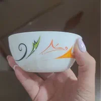 سرویس آروپال|ظروف سرو و پذیرایی|رشت, رودباری|دیوار