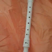 فلوت ریکوردر