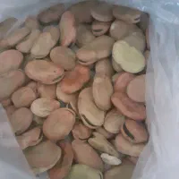 باقلا