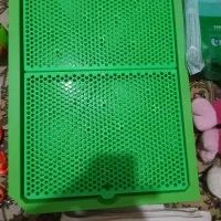 لوازم مورد نیاز پِت|لوازم جانبی حیوانات|کاشان, آیت الله سعیدی|دیوار