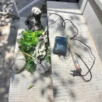 اکواریوم. شازند|ماهی|اراک, |دیوار