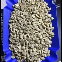 استخدام ادمین اینستا ،سایت و..