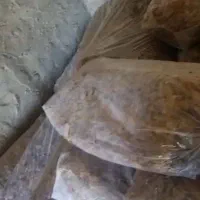 فروش خرما شاهانی