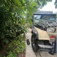 چیپ صحرا موتور ۲هزار میتسوبیشی مدل ۱۹۹۹|خودرو سواری و وانت|تالش, هشتپر|دیوار