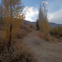 فروش شیش راس بز