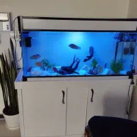 اکواریوم 120تایی ماهیران