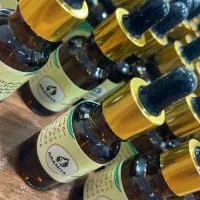 روغن شفابخش،ضد درد و کاملا گیاهی آرامیا