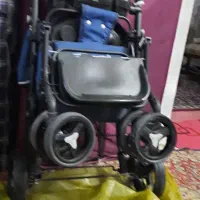 کالسکه دلیجان تاشو|کالسکه و لوازم جانبی|همدان, |دیوار