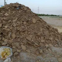 کود حیوانی گوسفند کهنه|خدمات باغبانی و درختکاری|رباط‌کریم, رباط‌کریم|دیوار