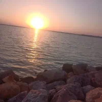 همخونه میشم