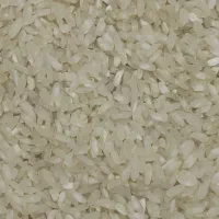 برنج تازهٔ کامفیروزی درجه یک