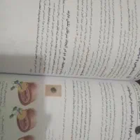 جزوات زیست دکتر عمارلو کنکور 1404|کتاب و مجله آموزشی|مرودشت, ژیان|دیوار
