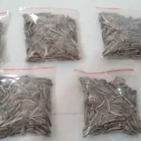بسته ۱۰۰ گرمی ۵ عددی تخمه ی اعلاء