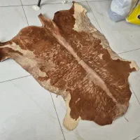 پوست گاو اصل