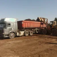 پخش کود حیوانی گاوی پوسیده به تعداد ۲۰۰۰ کامیون|خدمات باغبانی و درختکاری|کرج, کمال‌شهر|دیوار