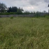 فروش ۵هزار متر زمین کشاورزی دور دیوار