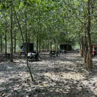 ویلا چوبی در یک پروژه انحصاری|فروش خانه و ویلا|ابریشم, |دیوار