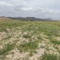 آپارتمان اجاره ای شهرک یادگار امام(خلیج فارس)