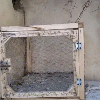 تور یا همون قفس