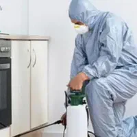 سم پاشی تضمینی شرکت سمپاشی سوسک ساس/ترک زبان منطقه|خدمات نظافت|نسیم‌شهر, |دیوار