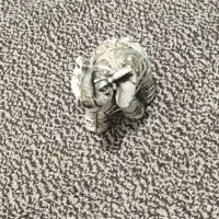 فیل|مجسمه، تندیس، ماکت|بهبهان, |دیوار