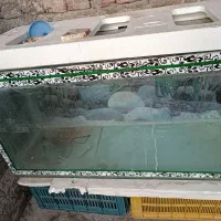 آکواریوم
