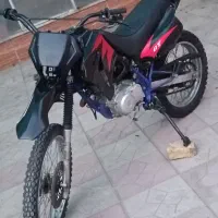 تریل ســیاه وحـشی