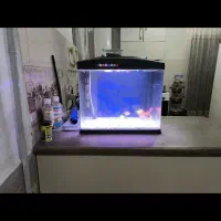 آکواریوم  شیشه خم