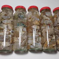 عقیق|جواهرات|مشهد, فارغ التحصیلان|دیوار