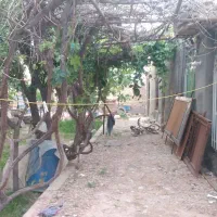 یک خانه ویلایی ودامداری حدود1200 متر