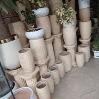 پایه گل|گل و گیاه طبیعی|همدان, |دیوار