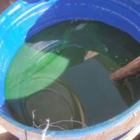 مایع شوینده برای مُشَمّا ، پلاستیک و مواد ضایعاتی