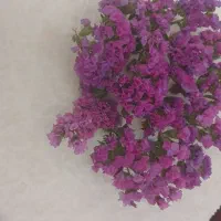 تک مزه(افسانه‌ای به شیرینی نام شما)|خوردنی و آشامیدنی|تهران, دروس|دیوار