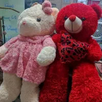 خشکشویی و مبلشویی نوین پاک