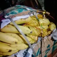 موز 23 کیلو جعبه ای1200 کیلو(50)