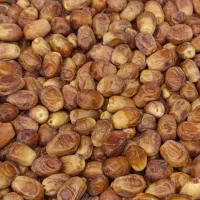 زاهدی خشت شیراز